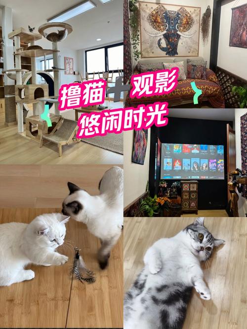 老湿影院官网 - 最新在线观影平台，免费高清影视资源，无广告畅享追剧体验