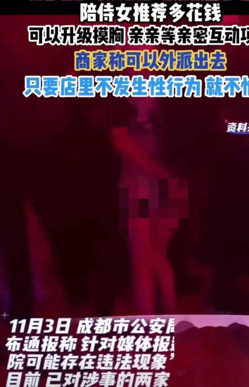 私人家庭影院3355专业搭建方案 | 沉浸式影音室设计 | 高性价比家庭影院系统