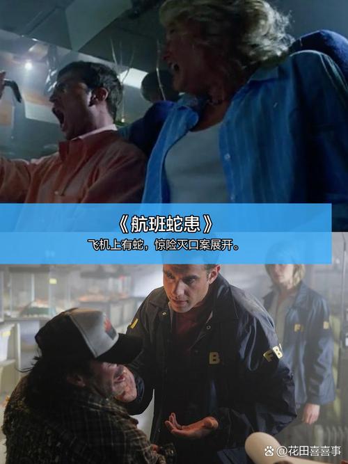 一个人去电影院不尴尬 | 单身影院推荐 | 独处观影指南