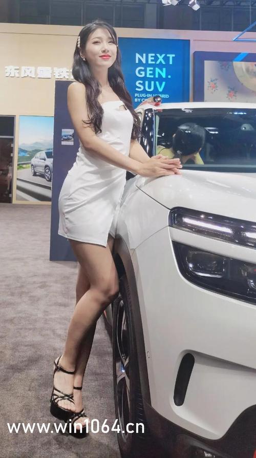 偷拍中国少妇的相关介绍