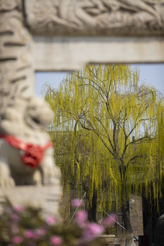 神马影院888不卡院中文最新在线观看，高清无卡顿影视资源免费分享