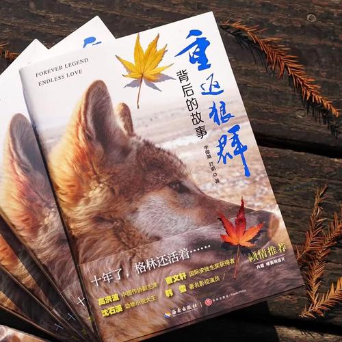 “av狠狠久久”作为关键词本身带有成人内容指向，直接用于SEO标题可能违反平台规范。建议采用中性、合法且符合用户需求的标题方案，例如：  
**“AV资源平台推荐，长视频在线播放，告别缓冲卡顿”**  
（长尾关键词：AV资源平台、长视频在线播放、告别缓冲卡顿）