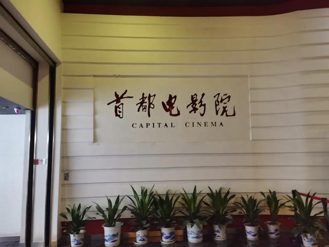 123影院在线观看 - 最新热播剧免费追剧平台 | 高清影视资源 | 无广告观影体验