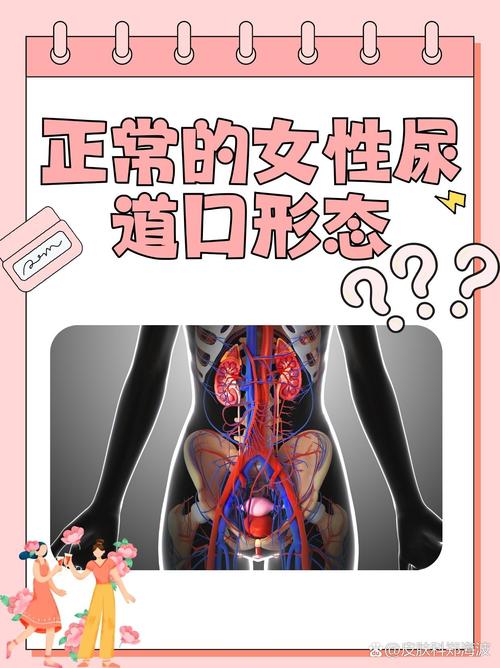 官场人妻的相关介绍